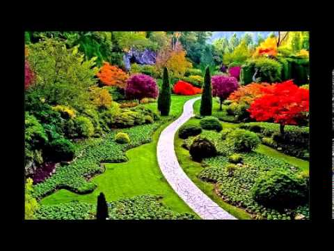 עדי רן - הרי את מקודשת לי