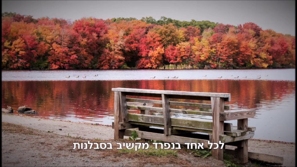 מאטי אילאוויטש - "היום האחרון" - מוטי אילוביץ - מחשבות | מתורגם