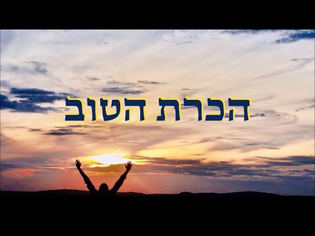 מאטי אילאוויטש - הכרת הטוב - מתורגם
