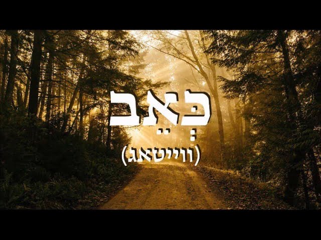 מאטי אילאוויטש - כאב (ווייטאג) - מתורגם