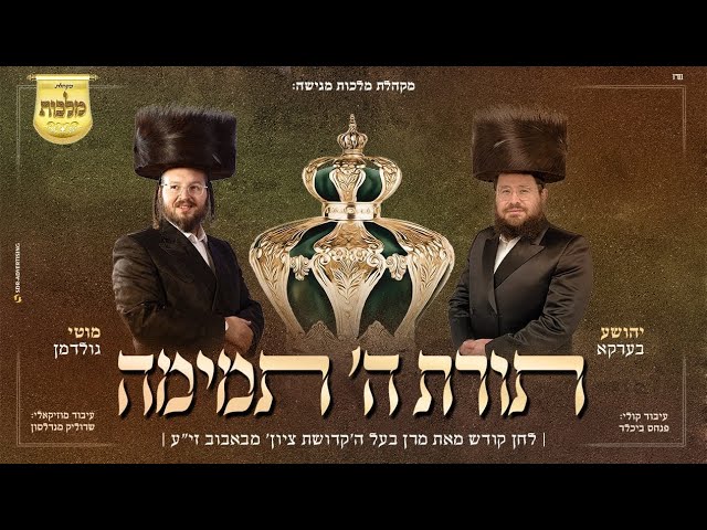מקהלת מלכות - מקהלת מלכות, שייע בערקא, מוטי גולדמן, אברימי בלטי - תורת ה' תמימה, באבוב | Malchus Choir
