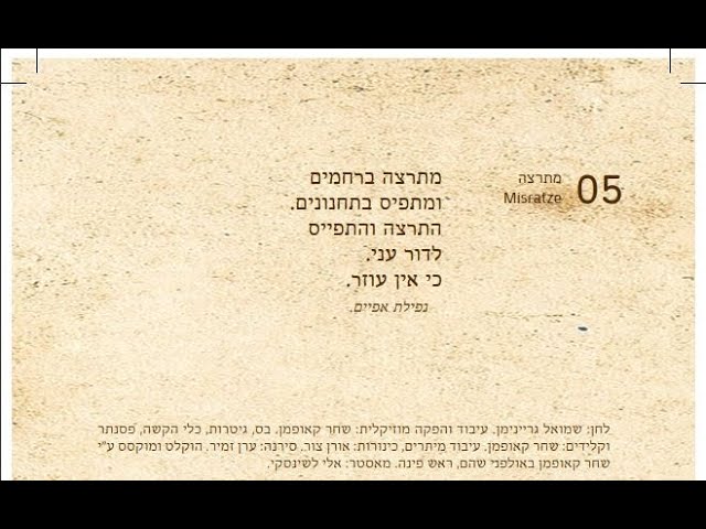 ר' שמואל גריינימן - Shmuel Greiniman - Misratze | שמואל גריינימן - מתרצה