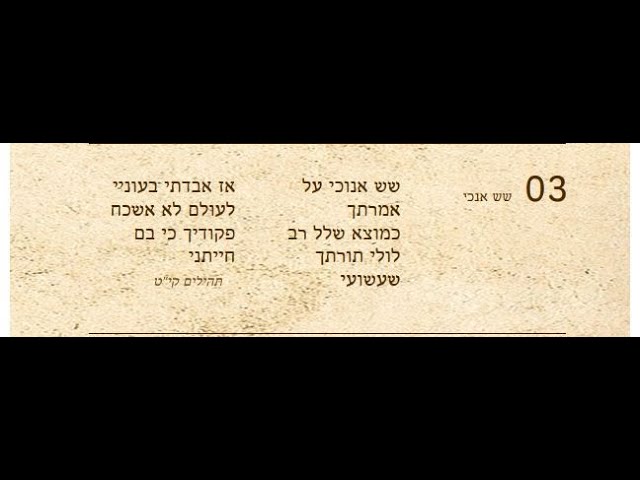 ר' שמואל גריינימן - Shmuel Greiniman - I rejoice | שמואל גריינימן - שש אנוכי