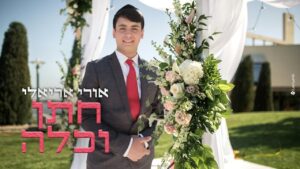 אורי אריאלי