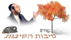 יואל ברוין