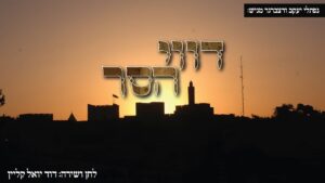 דוד יואל קליין