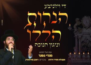 מנדי גפנר