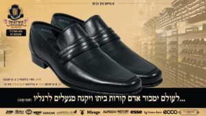 מאיר גולדשטיין - א שיינע שיך