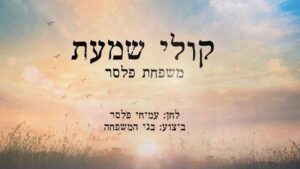 משפחת פלסר