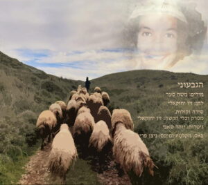 זיו יחזקאלי