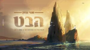 מנדי ברוין