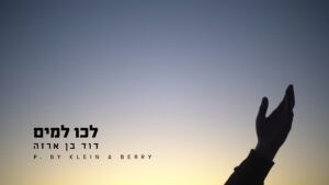 דוד בן ארזה