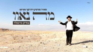 צודיק גרינוולד