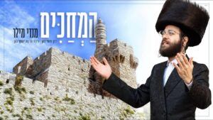 מנדי מילר