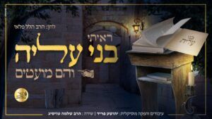 הרב שלמה טויסיג