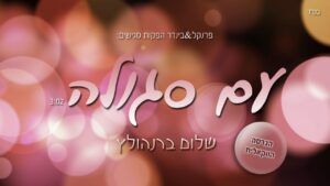 שלום ברנהולץ - עם סגולה - ווקאלי