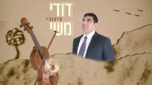 דודי משי - כינורי | קאבר
