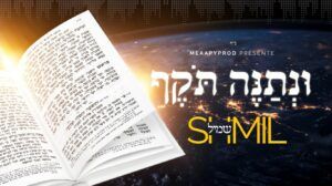 שמיל