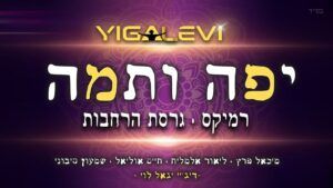 די ג'יי יגאל לוי