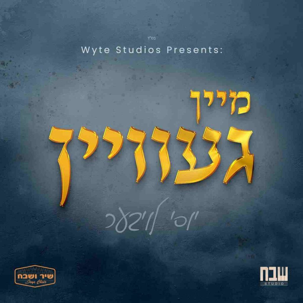 יוסי לויבער - מיין געוויין