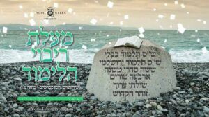 יוסי גרין - מעלת ריבוי הלימוד