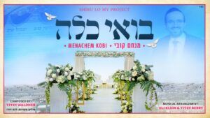 מנחם קובי