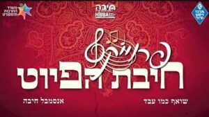 משה חבושה