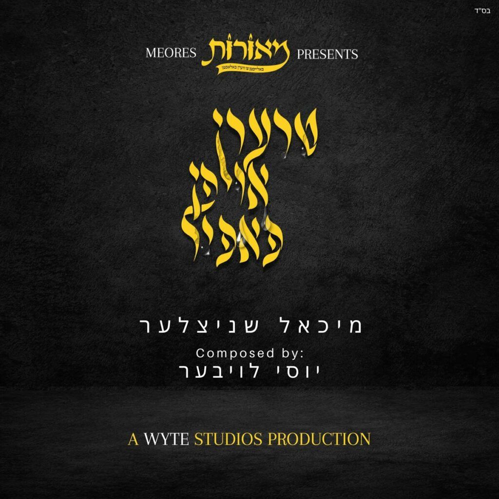 מיכאל שניצלר, יוסי לויבר - טרערן אויפן פאפיר
