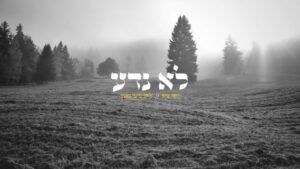 יוסי שיק - לא נדע