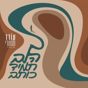 עודד מנשרי