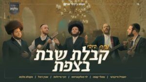 לוי פלקוביץ
