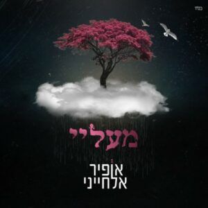 אופיר אלחייני
