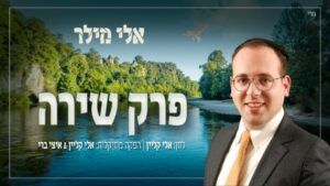 אלי מילר