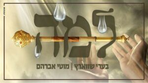 בערי שוורץ