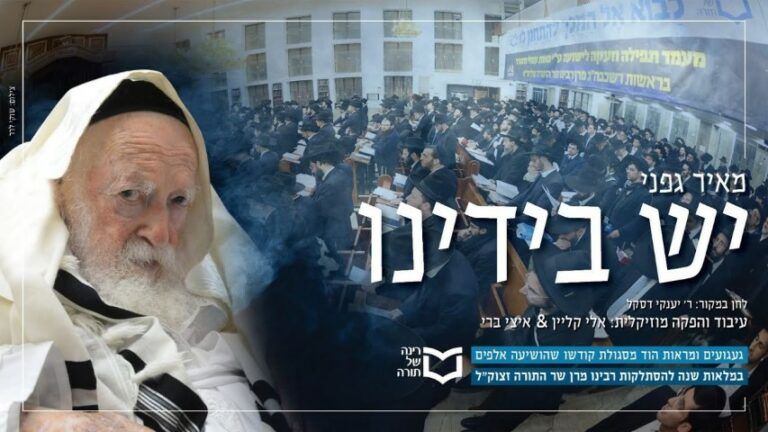 מאיר גפני - יש בידינו