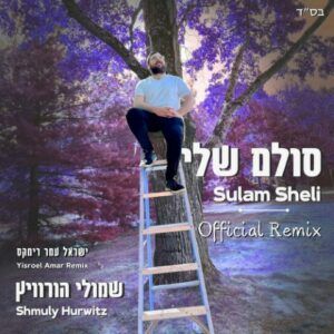 שמולי הורוויץ