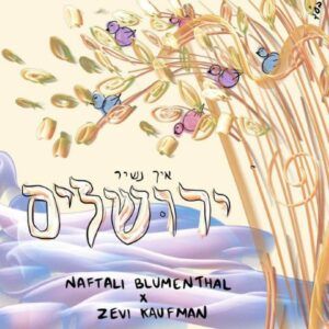 צבי קופמן