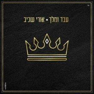 אורי שכיב