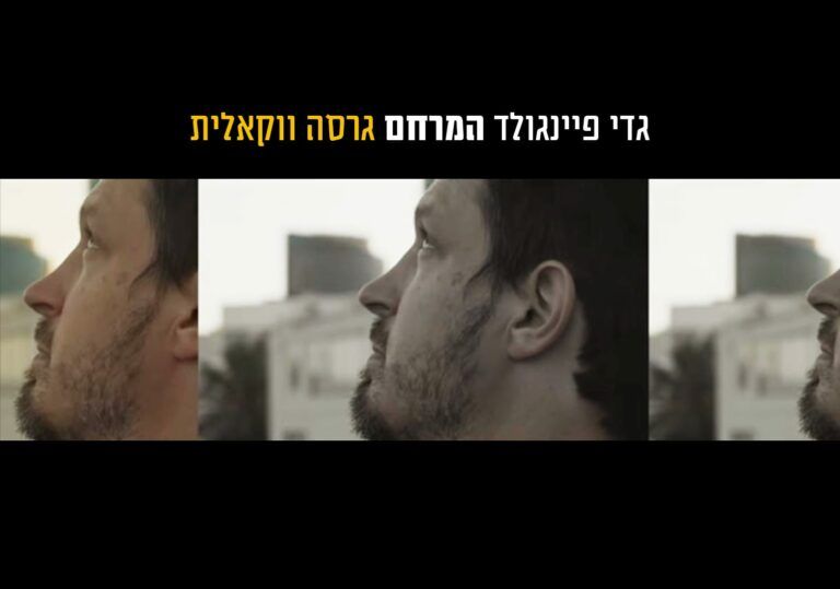 גדי פיינגולד - המרחם | ווקאלי