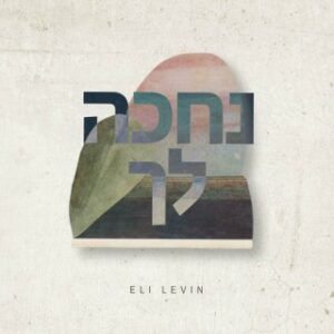 אלי לעוין