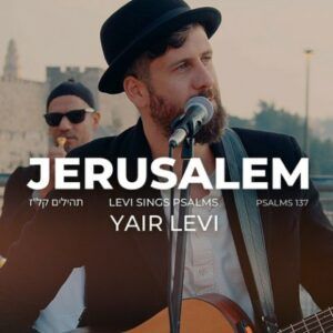 יאיר לוי