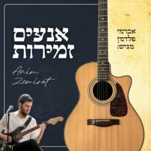 ברמי פלדמן
