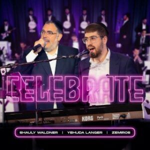 שאולי וולדנר