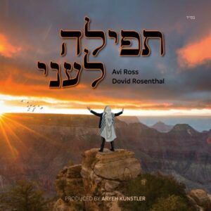 אבי רוס