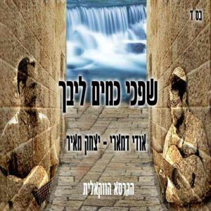אודי דמארי ויצחק מאיר - שפכי כמים ליבך | ווקאלי