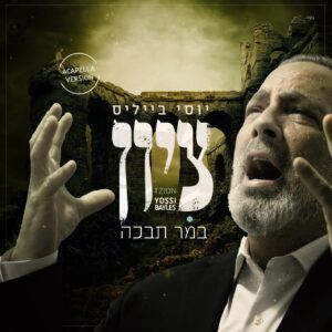 יוסי בייליס