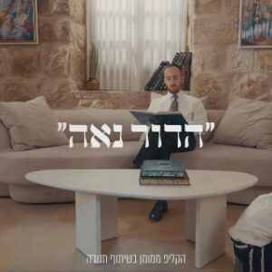 עמיחי פלסר