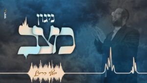 יואלי בריזל - ניגון מצב