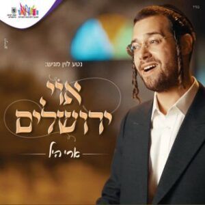 ארי היל