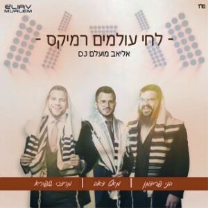 די ג'יי אליאב מועלם
